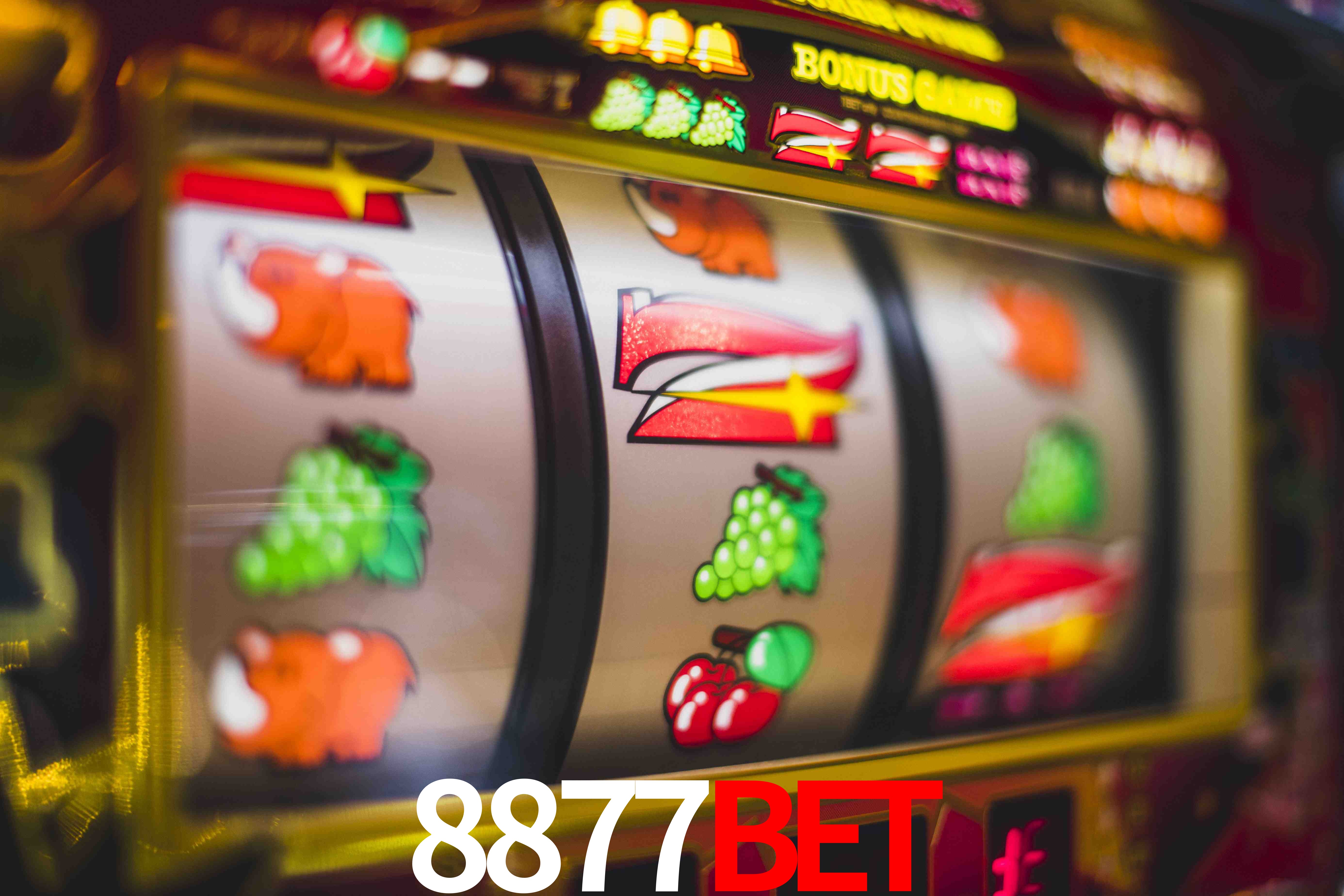 Live Casino 8877bet